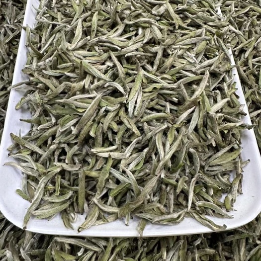 宁德厂家批发2023年早春白茶白毫银针芽肥毫香米芽新茶明前银针