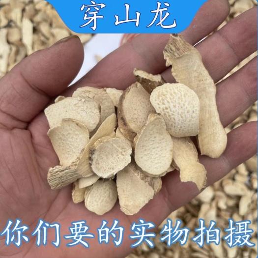 亳州穿山龙中药材 穿地龙泡茶泡水  无硫新货 量大从优
