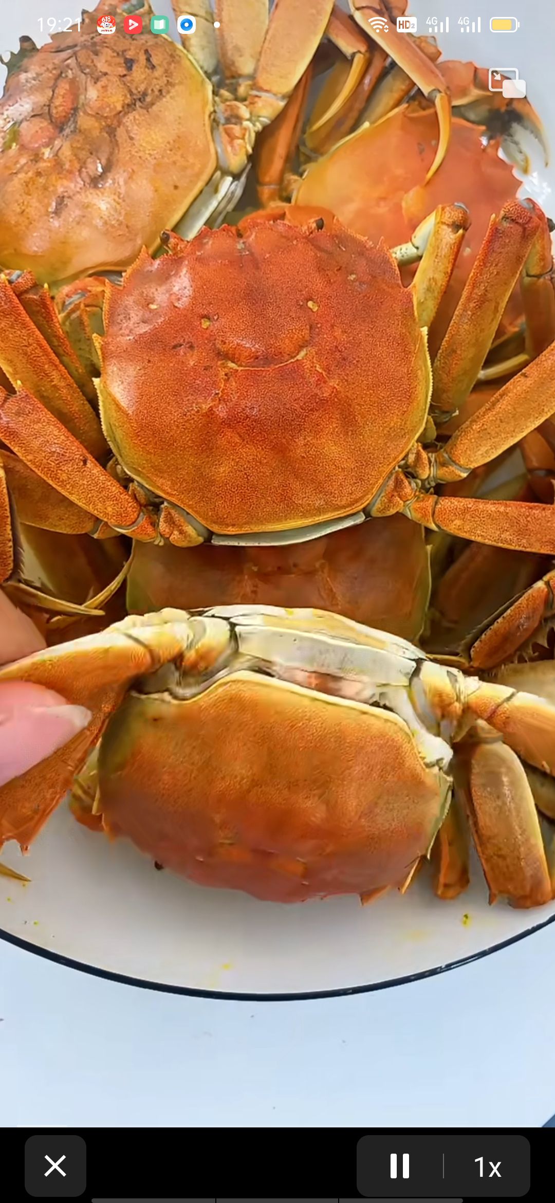 盘锦稻田蟹，