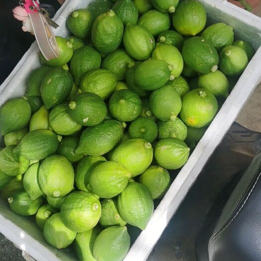 南宁香水柠檬
