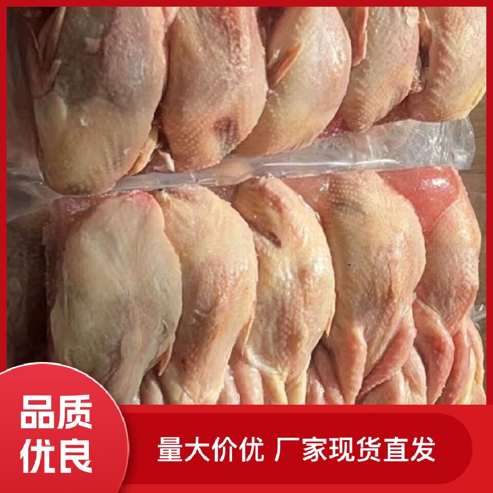 大鹌鹑,一手货源,量大从优!一箱100只!