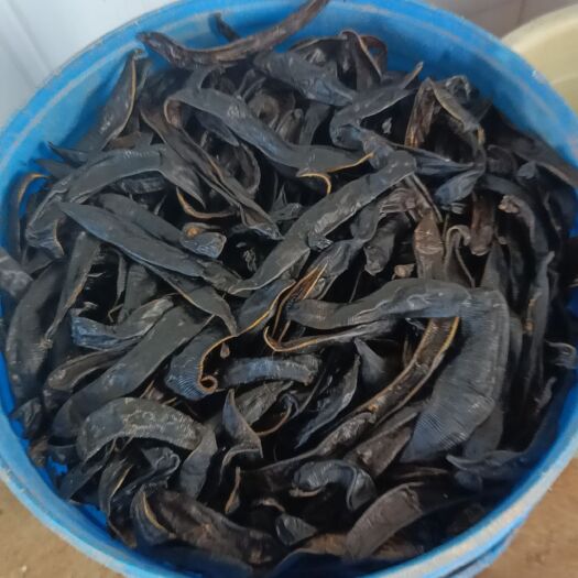 耒阳市宽体金线蛭鲜品，干货