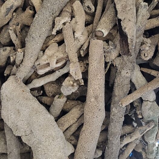 常熟市大量紫梢花，淡水海绵，通货和棒料