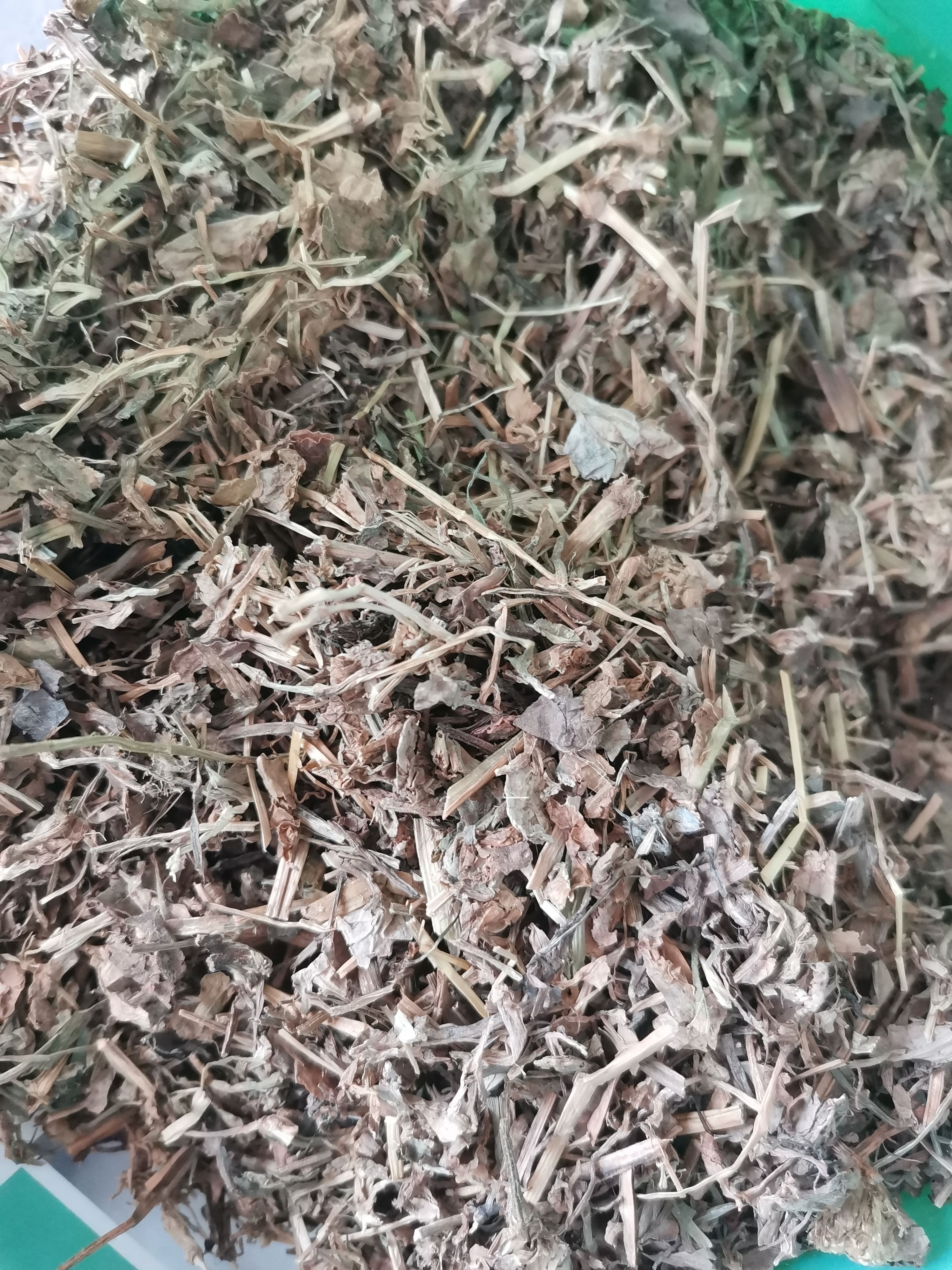 鸭跖草 正品鸭跖草【假一赔十】