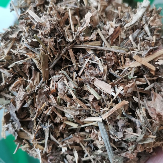 鸭跖草 正品鸭跖草【假一赔十】