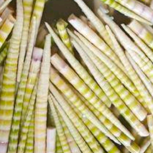 习水县八月笋鲜货 量小勿扰