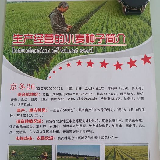 永清县河北宏武农业科技有限公司冬小麦厂家批发