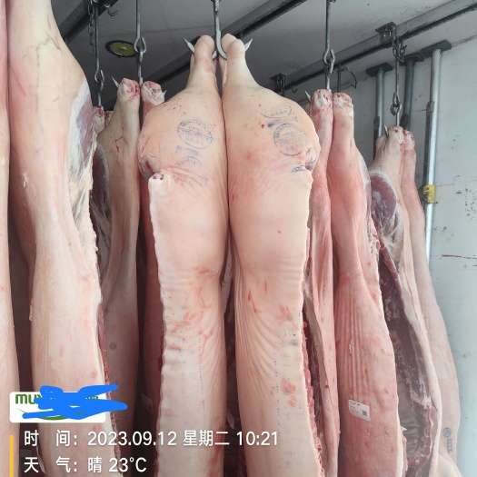 猪肉白条，鲜猪分割产品，猪全品类副产品，