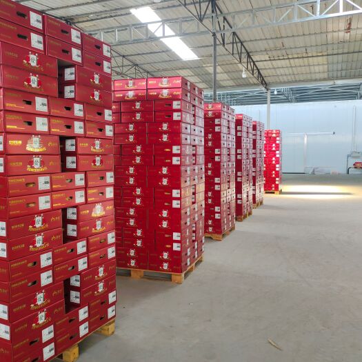 蒲江县会理突尼斯软籽石榴，品种、规格齐全。适应全国各地的批发市场。