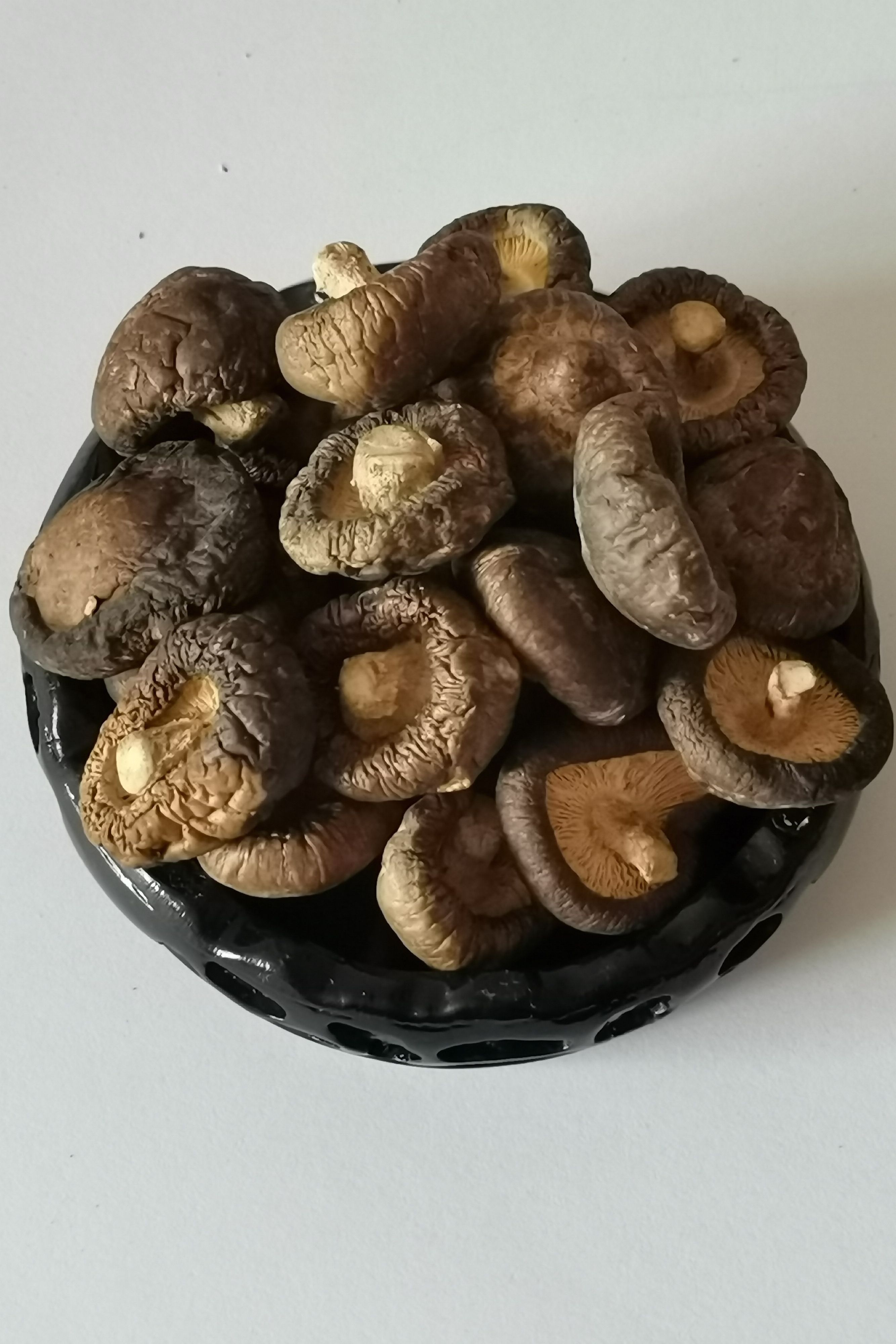 东北小香菇金钱菇个头小肉质更厚散装批发专用链接包邮