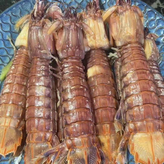 滨州皮皮虾，虾爬子