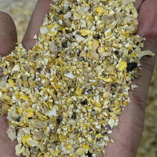 漯河碎玉米
能量饲料
蛋白8.12%总能:3.42兆卡