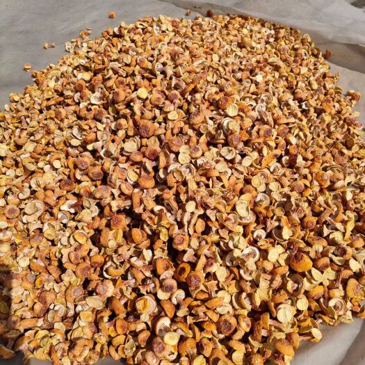 邯郸姬松茸干品，基地直供质量有保证