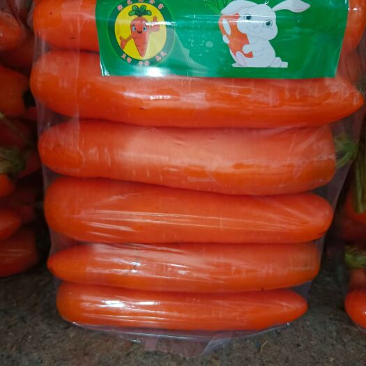 通许县精品三红胡萝卜