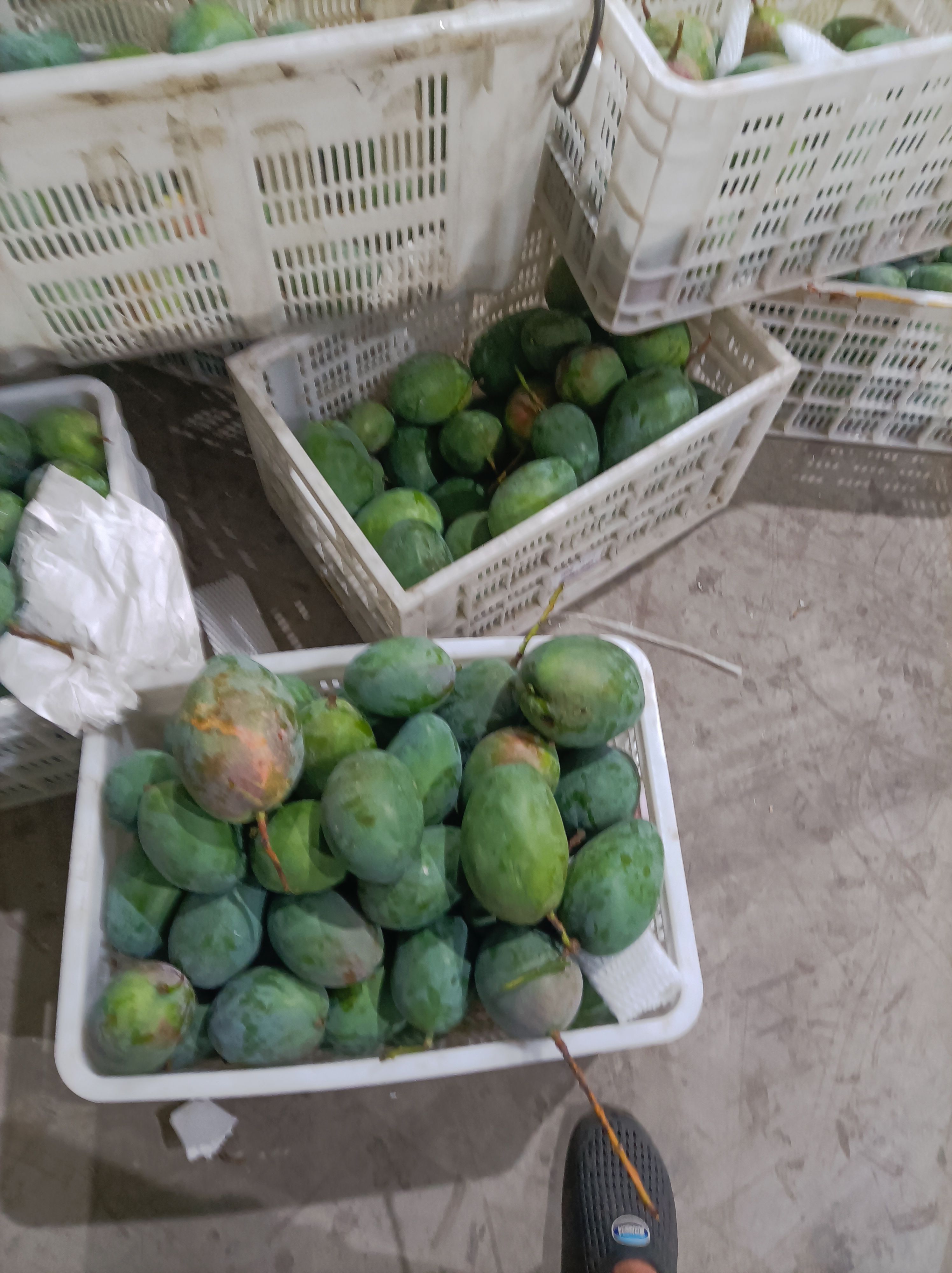 凯特花皮93元一筐60斤甜品蛋糕糖水一件也批发到店可催熟发货