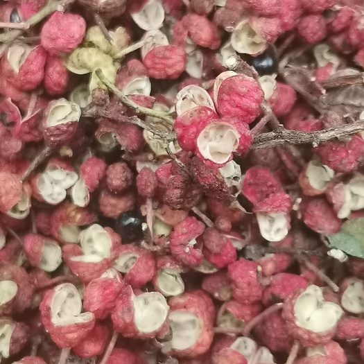 渭南花椒