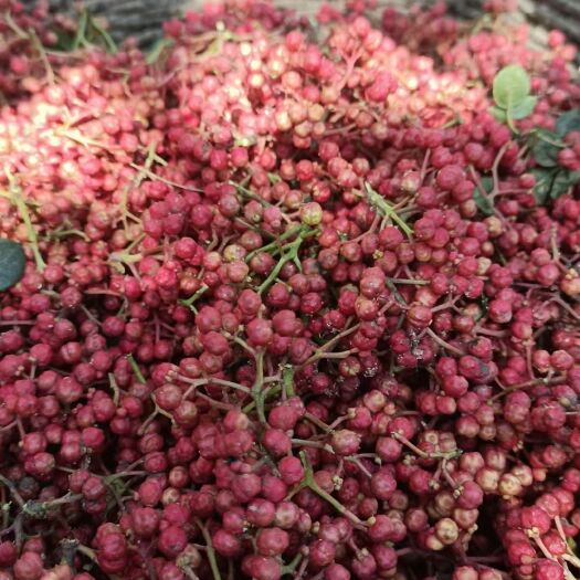 临夏县大红袍花椒