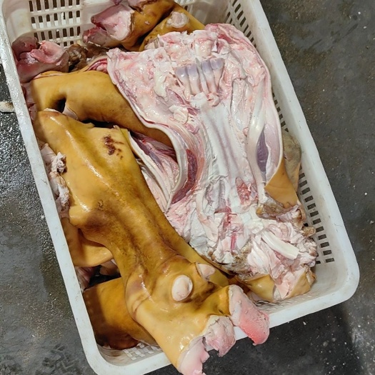 郑州火烧全去骨牛蹄，实拍图片