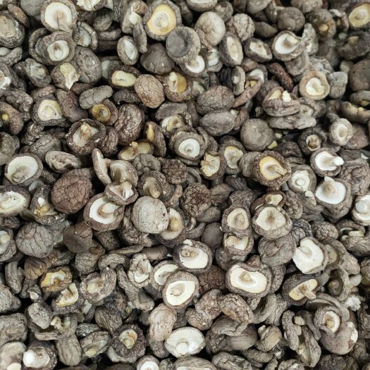 十堰瑞尔菌业干香菇，吃香菇远瑞尔，瑞尔香菇，品质保证