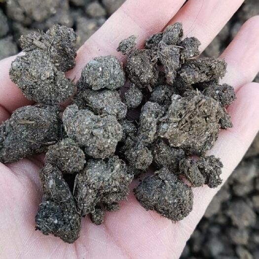 石家庄干牛粪 晒干纯牛粪 颗粒牛粪 牛粪干 牛粪颗粒 纯牛粪厂家