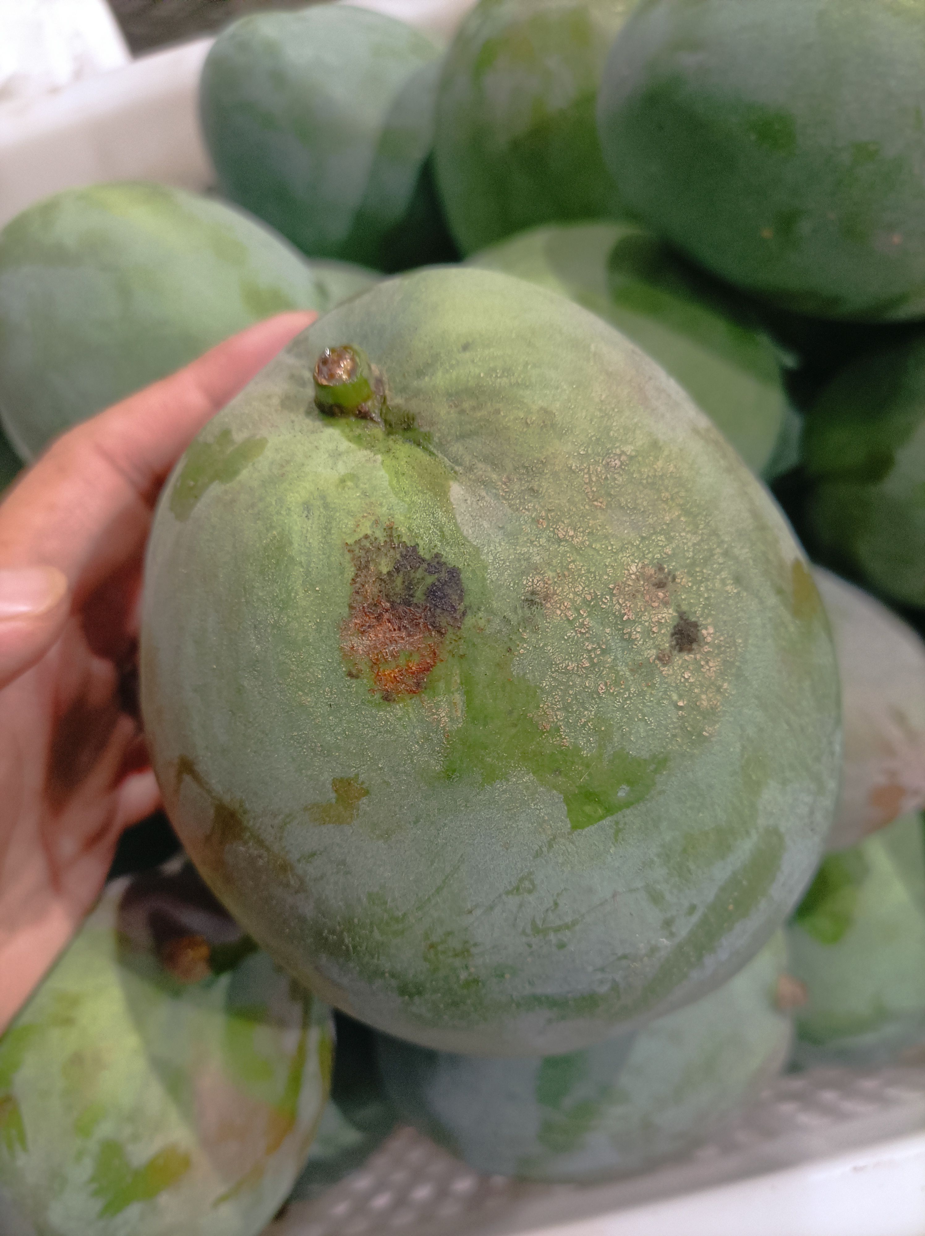 凯特花皮93元一筐60斤甜品蛋糕糖水一件也批发到店可催熟发货