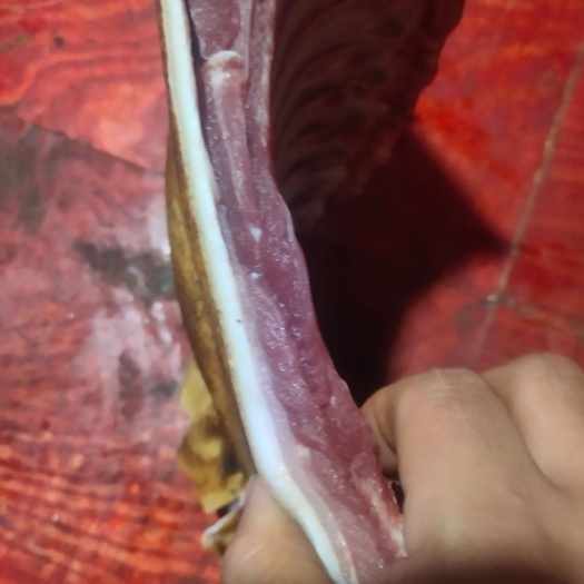 猪肉类,香猪肉,山上放养山猪肉 黑猪肉每天新鲜发货生超,农家