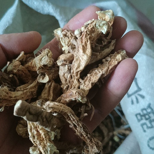 太原脱毛干知母，高含量知母，保证无硫，我们村里的一手货源