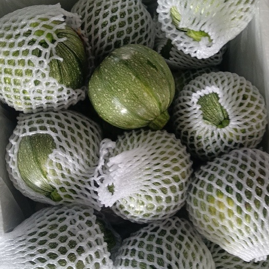 漳州小南瓜，大型基地种植，自配冷库。支持各种规格打包。