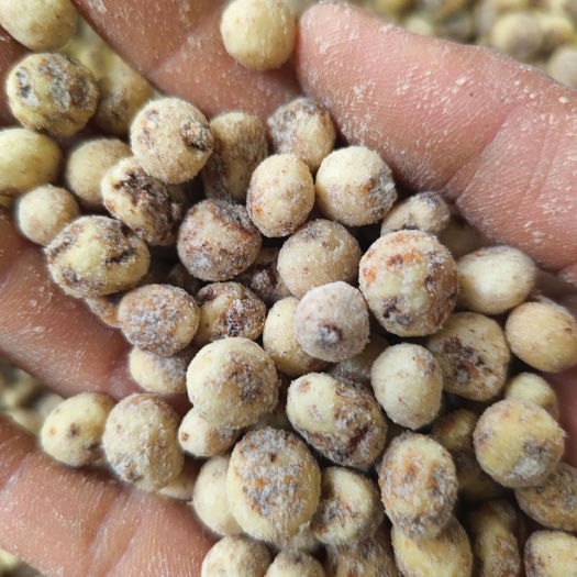 新疆脱皮油沙豆虎坚果味道香甜可生吃打打豆浆打豆浆