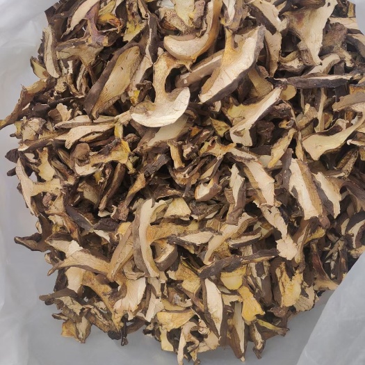 云南普洱黑牛肝菌_干貨