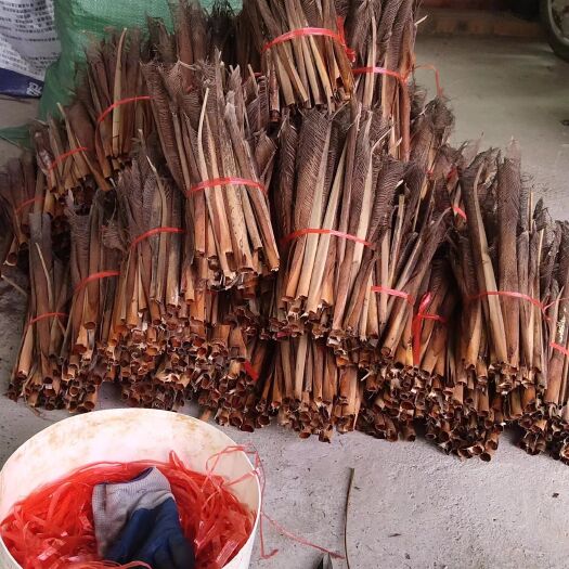 柳州棕竹壳加工品