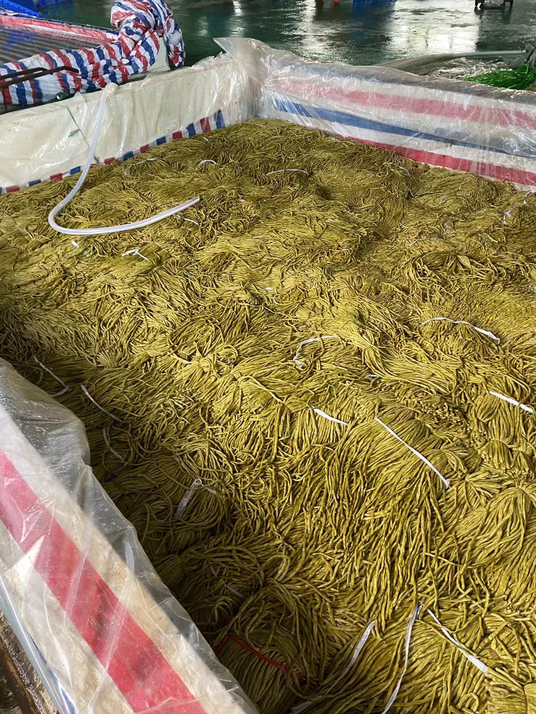 腌豆角  酸豆角（酸辣脆爽、无任何防腐剂）