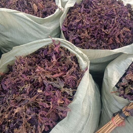 剑河县手工采摘紫苏，已晒干，品质良好，均为单面紫双面紫