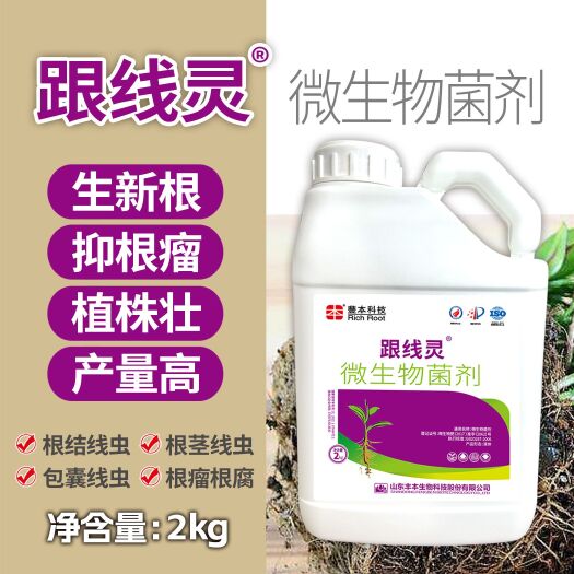 寿光市根线灵微生物菌剂