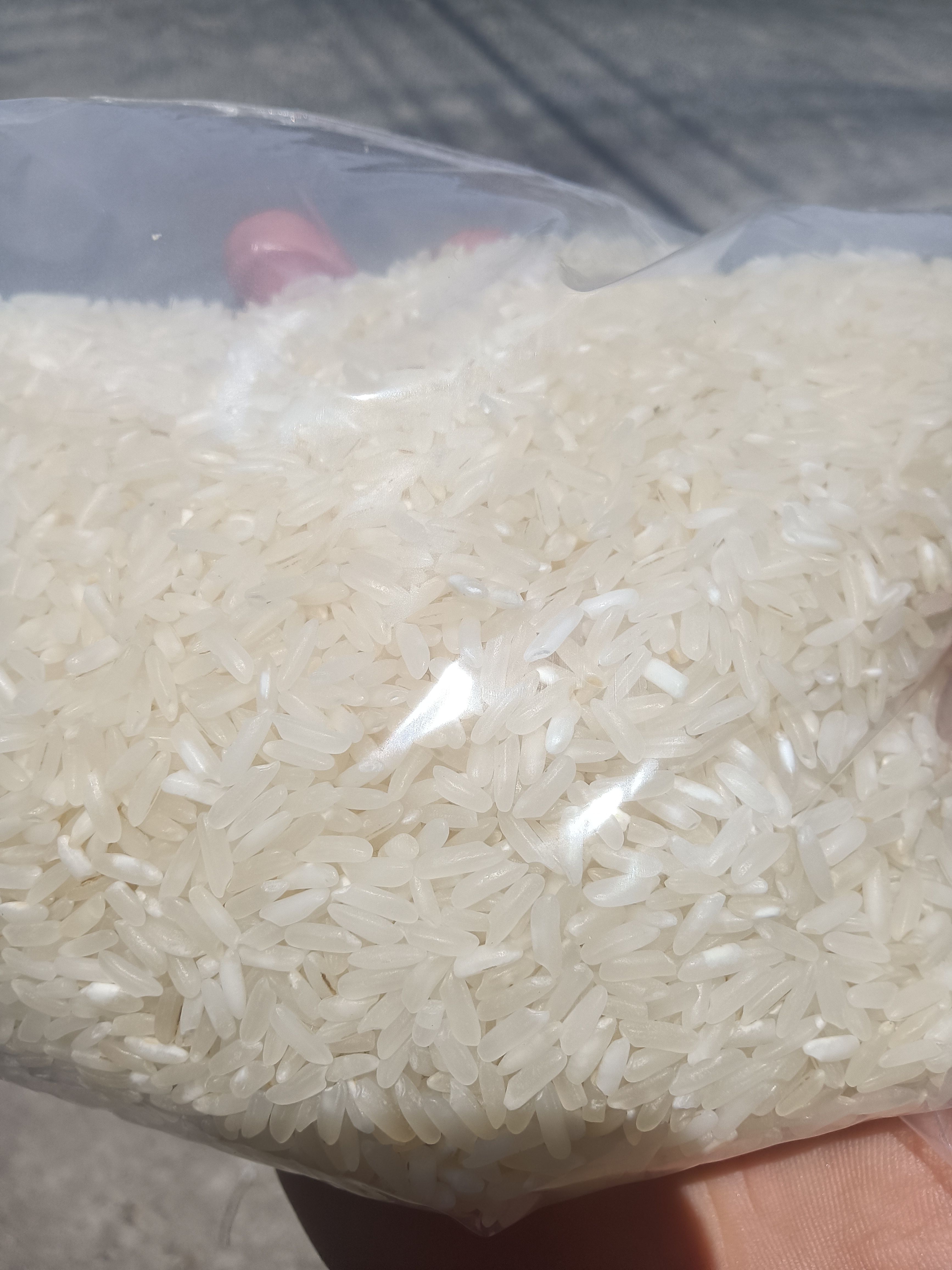 食堂大米便宜大米