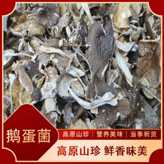 小金县藏区美味鹅蛋菌干片