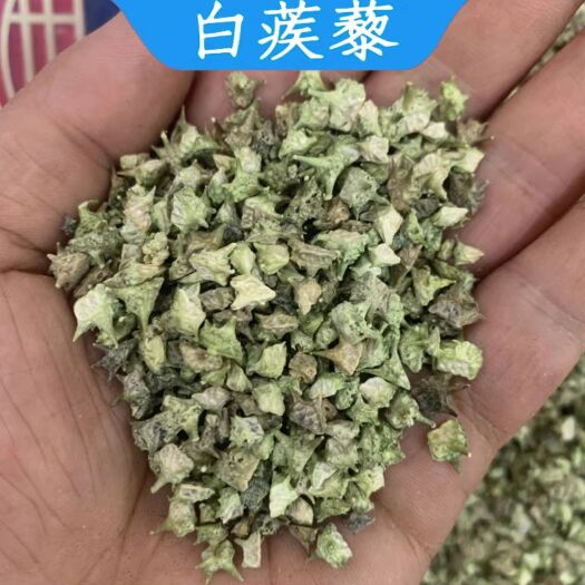 亳州中药材蒺藜 白蒺藜 刺蒺藜 可磨蒺藜粉 蒺藜子  现货批发