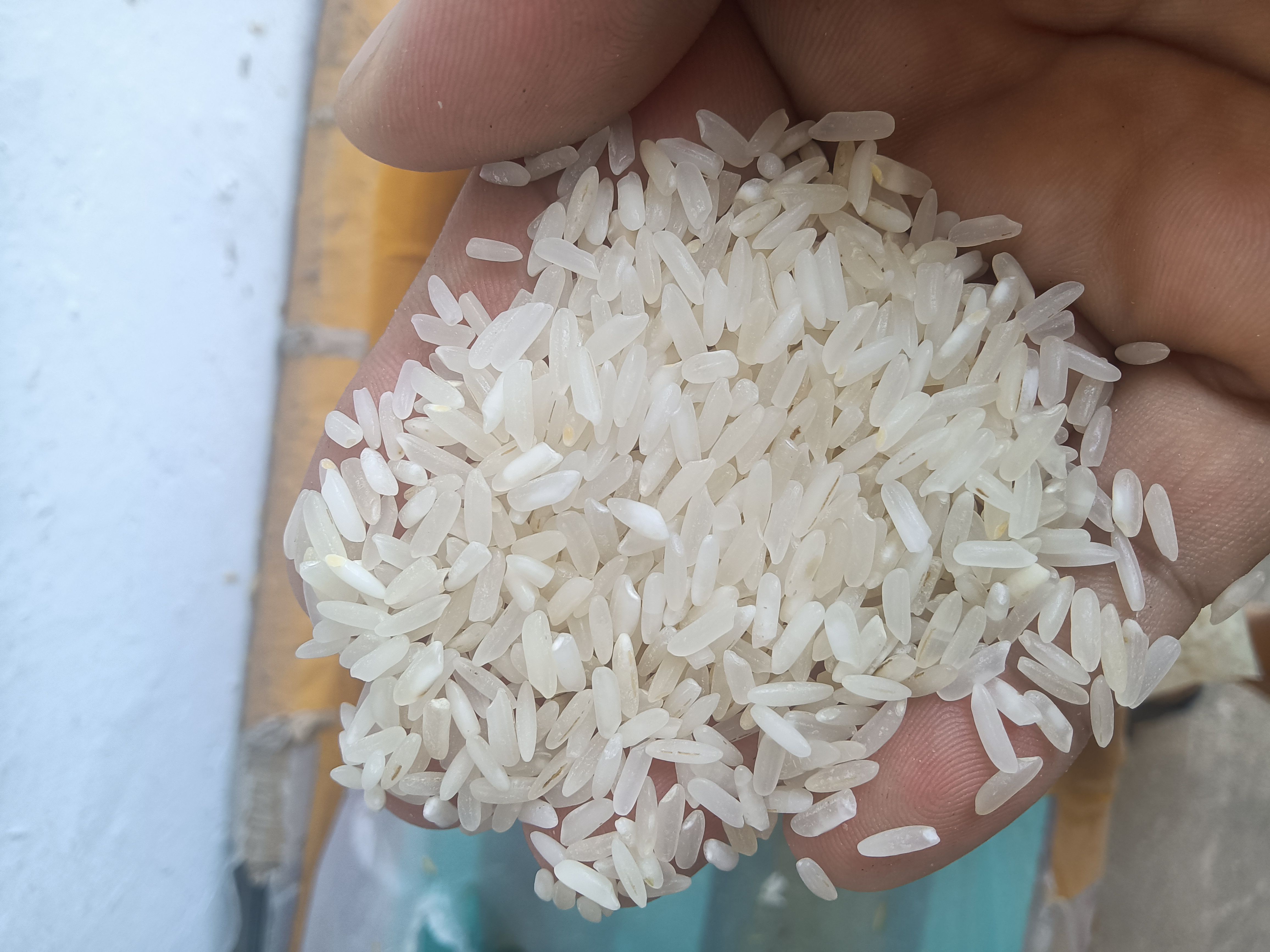 食堂大米便宜大米