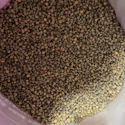 寿光市益生菌腐熟发酵大豆