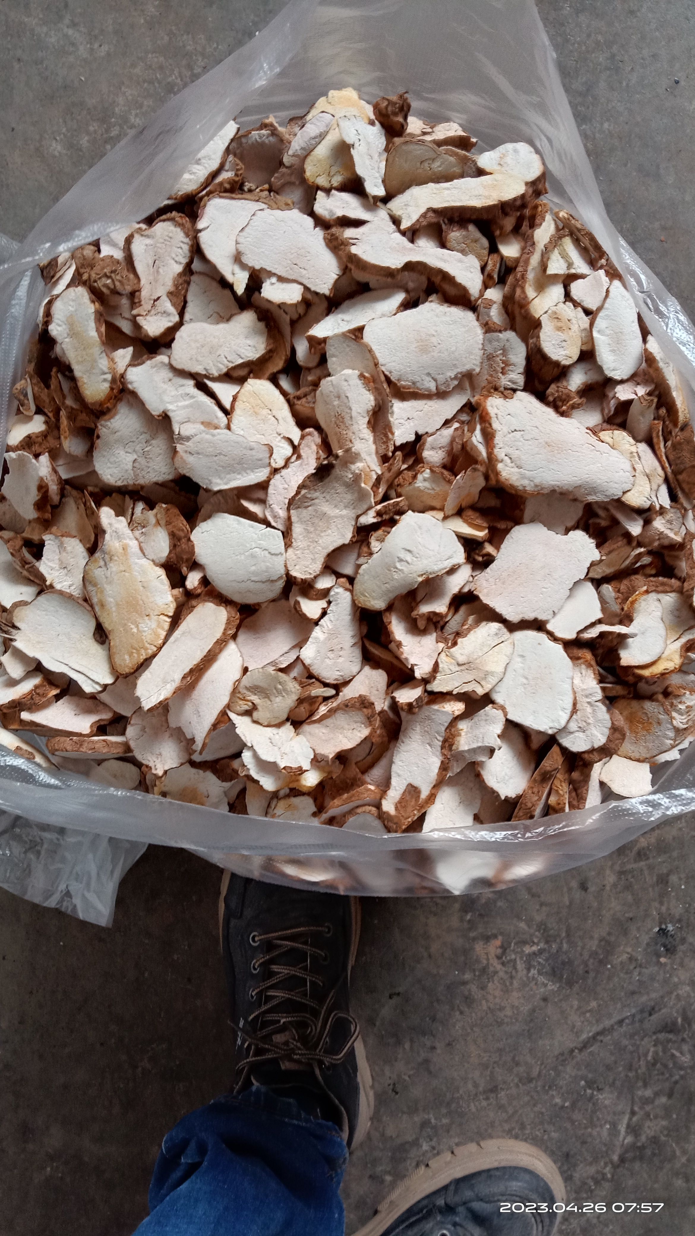 土茯苓干片，白肉粉质。