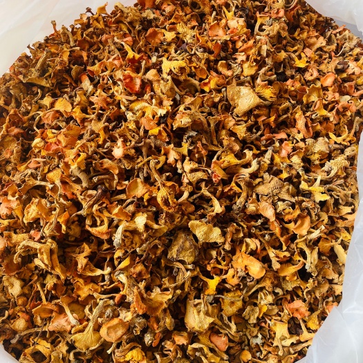 昆明野生鸡油菌干片