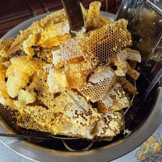 新昌县大山里的野生蜂蜜