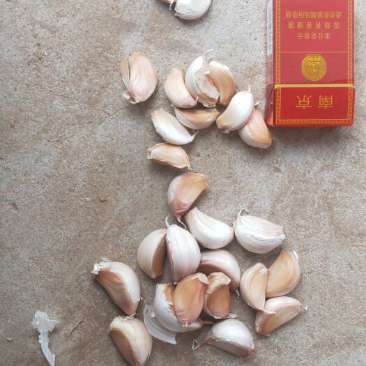 商河县济南大青稞蒜瓣  蒜米  蒜心  蒜头 大青稞原产地 质量高