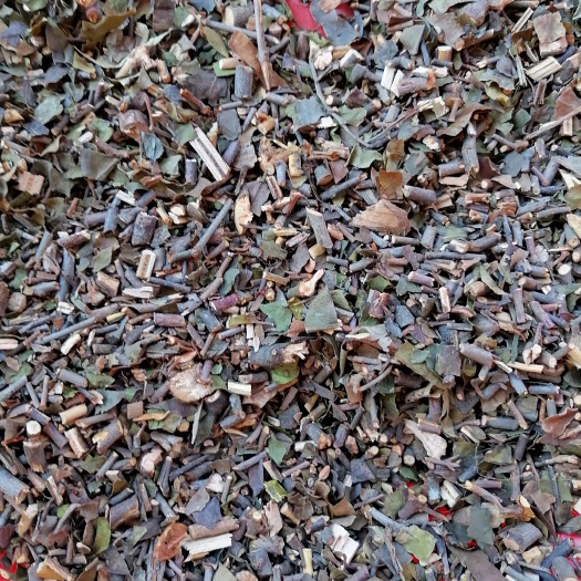 广西深山桑寄生广寄生可桑上寄生茶+杜仲茶搭配泡茶