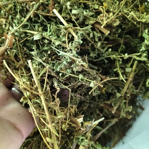 贯叶连翘，对叶草，饮片干