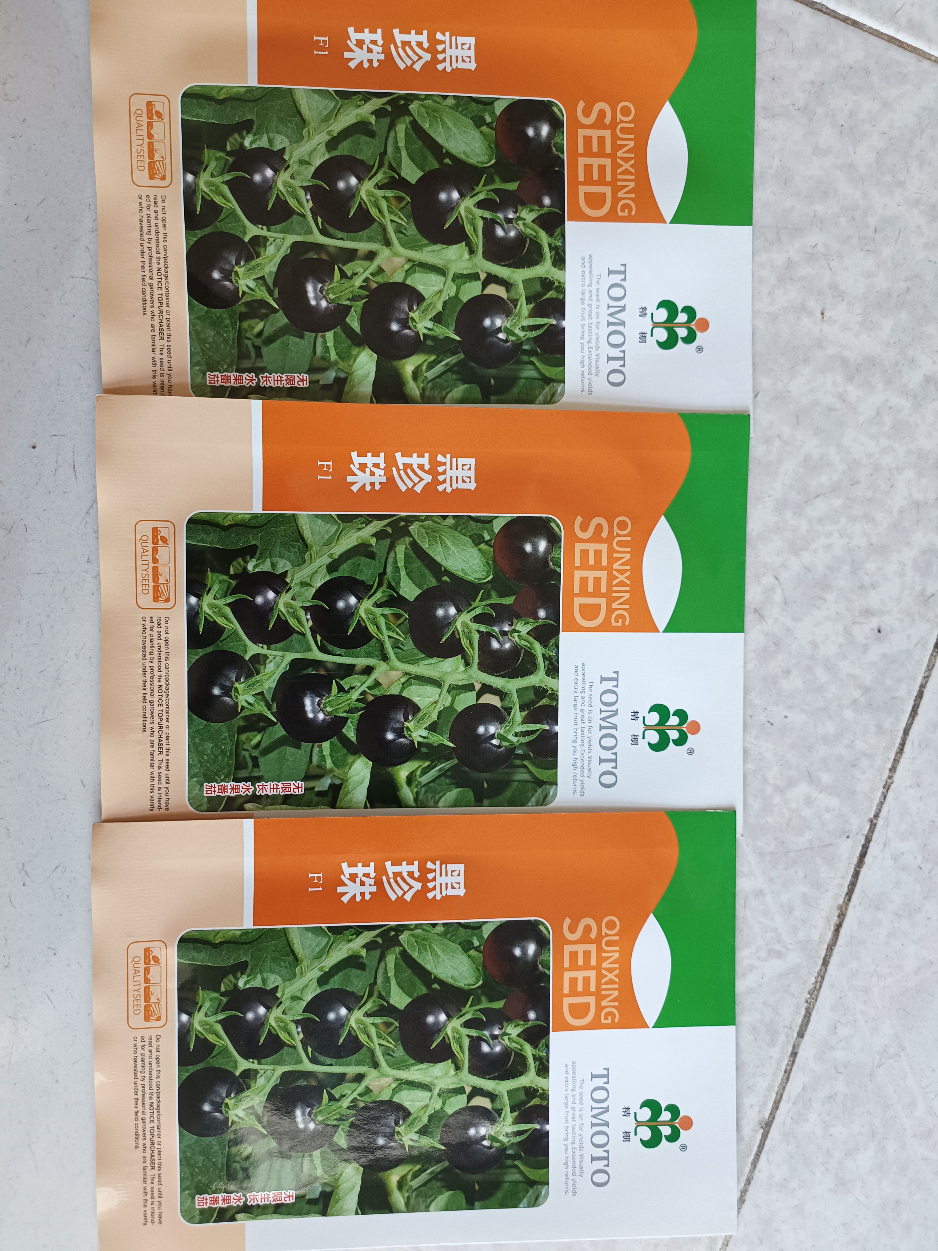 黑番茄种子～单果重25克礼品黑番茄种子黑珍珠