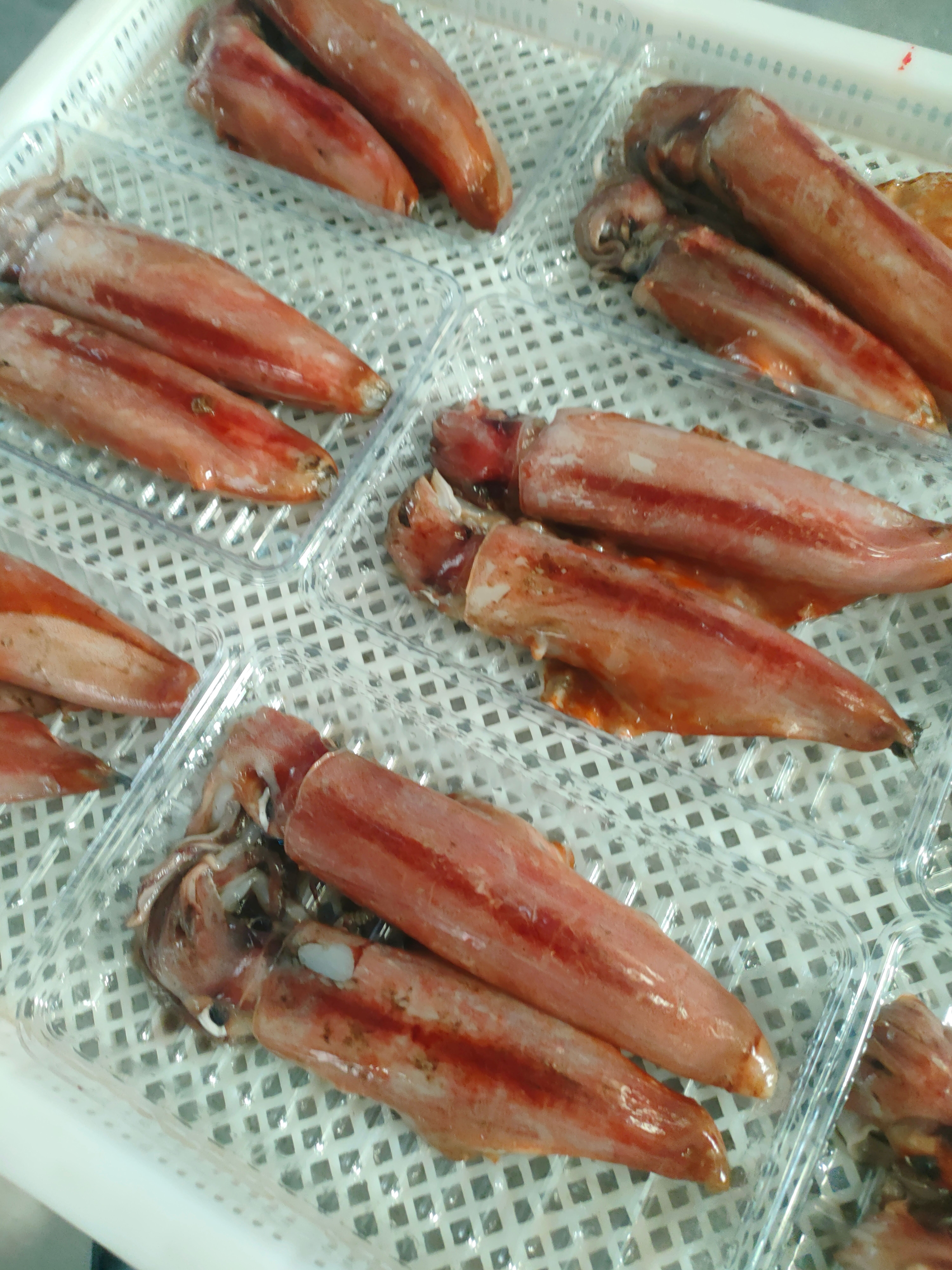 红鱿、北海鱿鱼、单条速冻包装30斤一件、灯照船捕长期有量直批