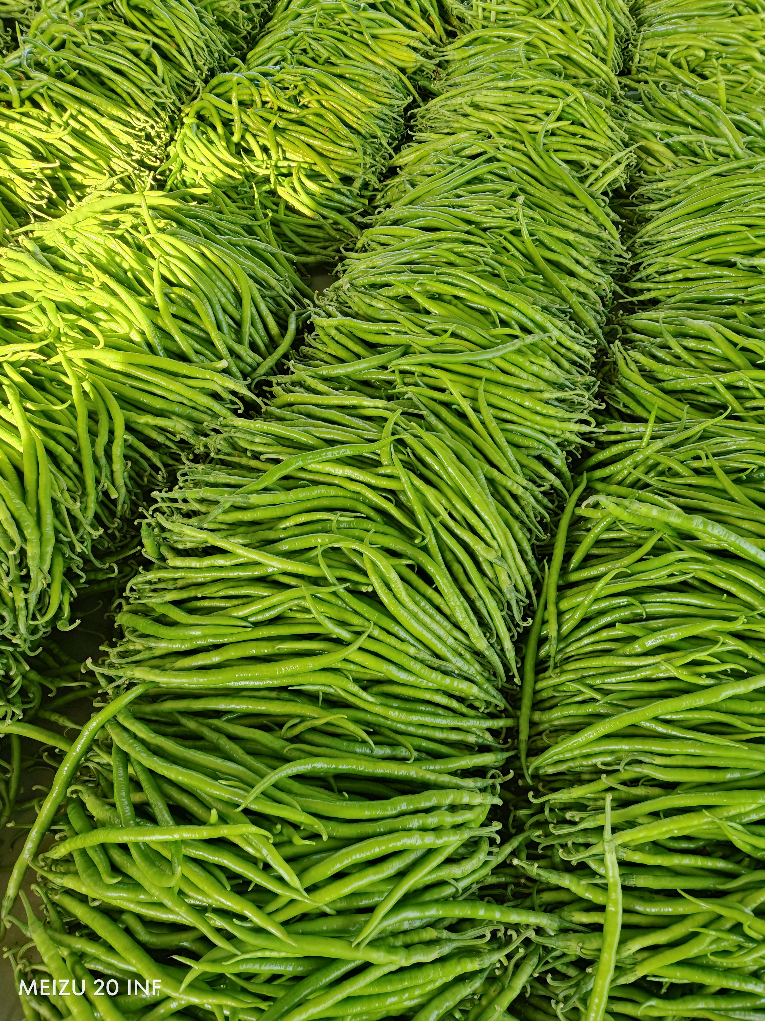 费县线椒大量上市，电商货市场货欢迎下单货源充足价格便宜