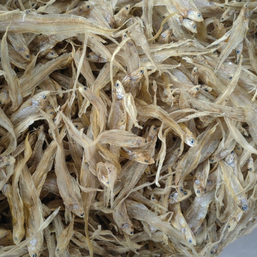 寿县草虾