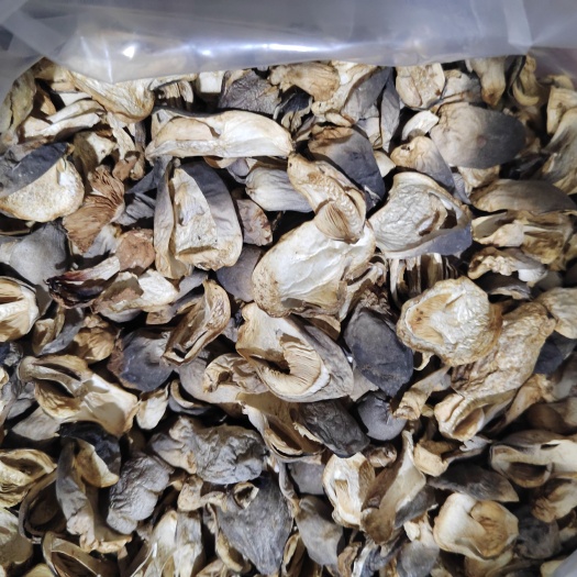 江华县基地优质干品草菇，现摘现烤，品质好